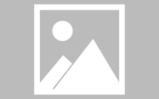 阿拉尔网页案例排版设计（网页案例排版设计模板）